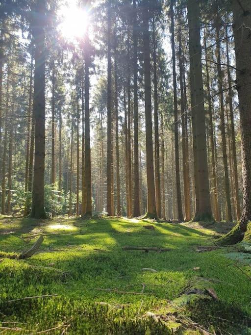 Gite N° 20, En Pleine Nature, Frontalier Signy-le-Petit ภายนอก รูปภาพ